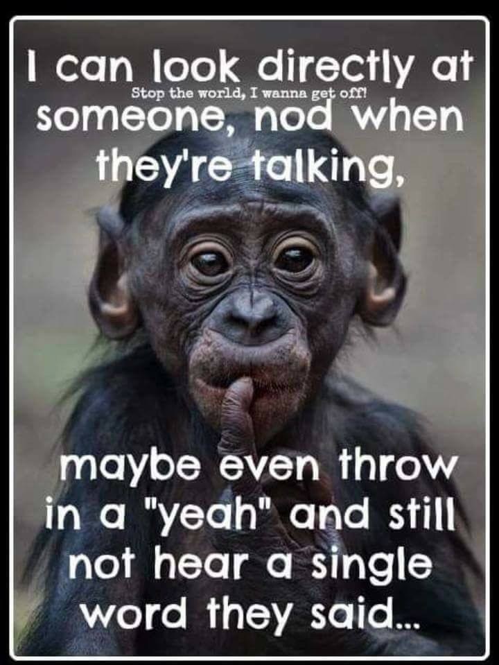 Not hearing a word.jpg