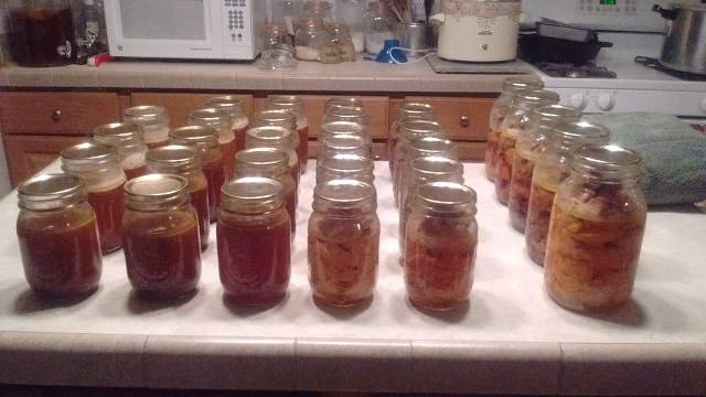 nov 16 rooster harvest.jpg