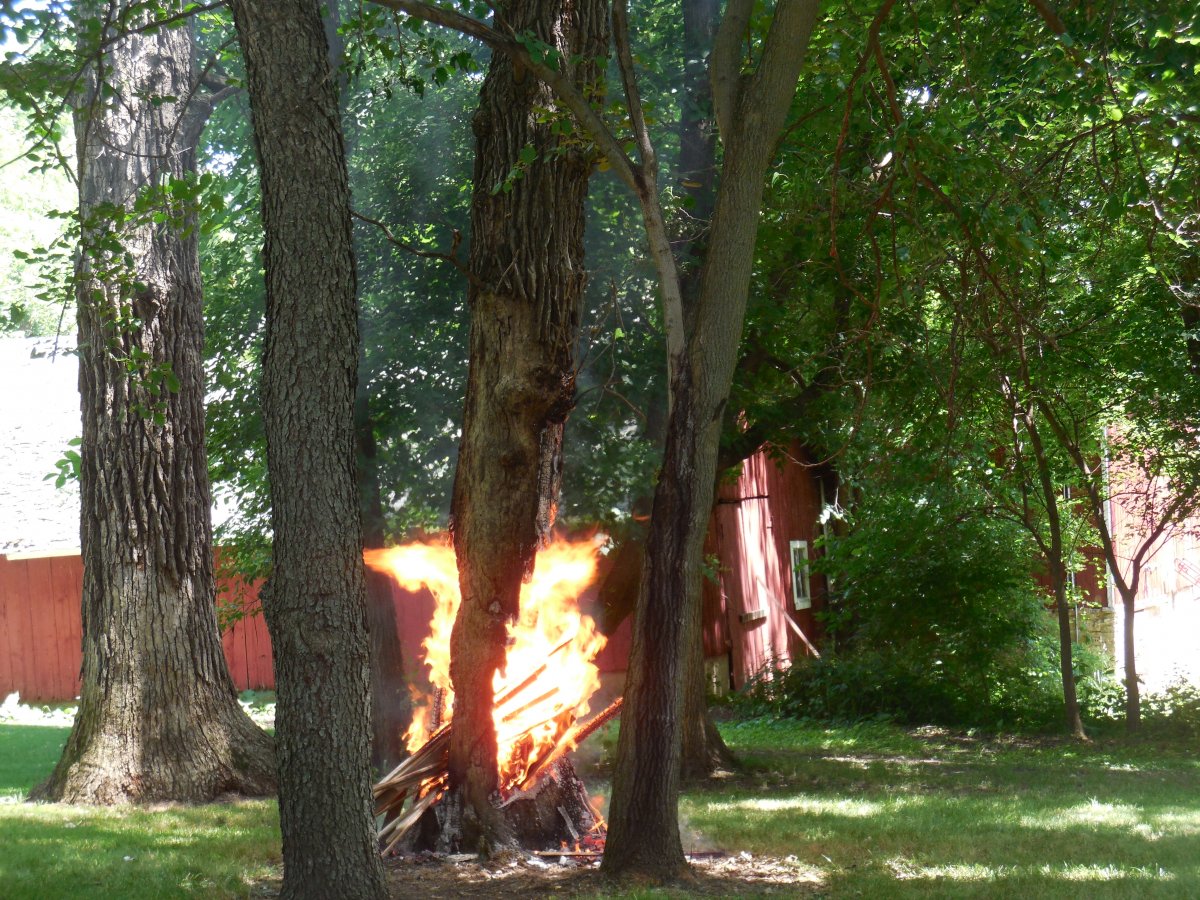 Oak tree fire.JPG