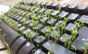 onlinegarden.jpg