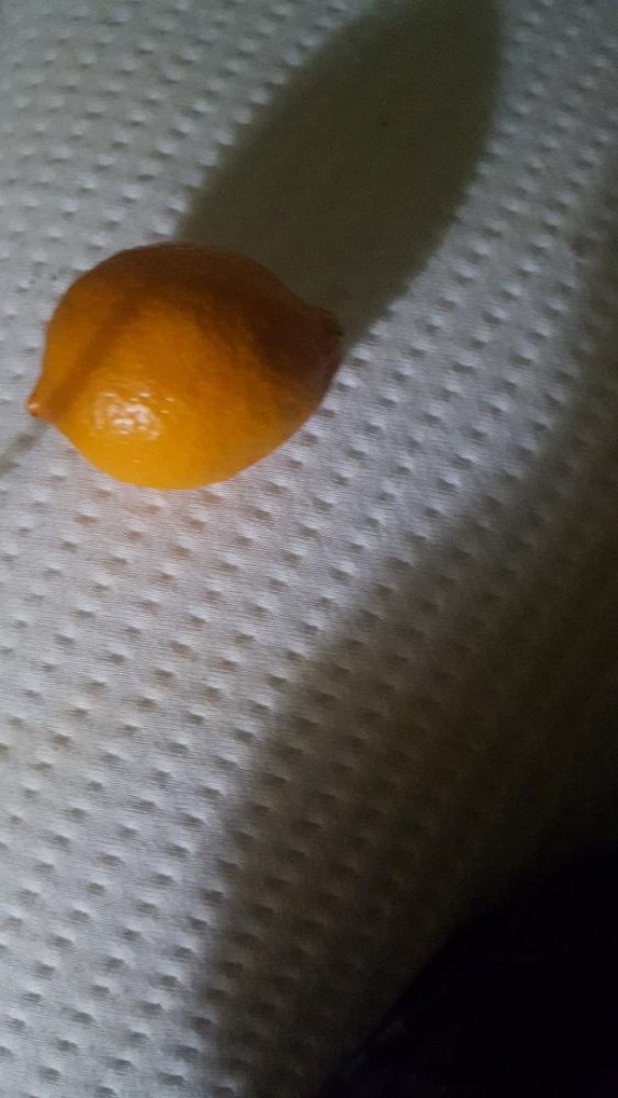 orangelemon.jpg
