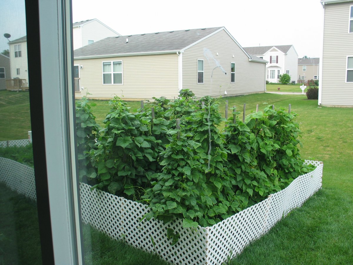 Out the back door 2014.jpg