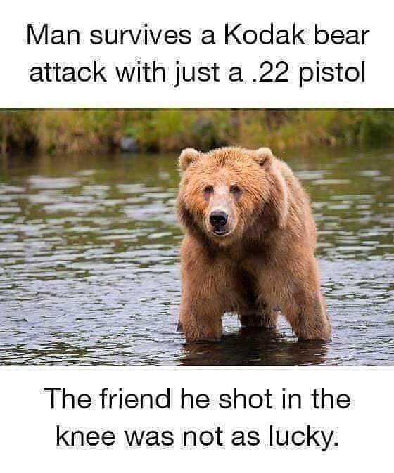 outrun the bear.jpg