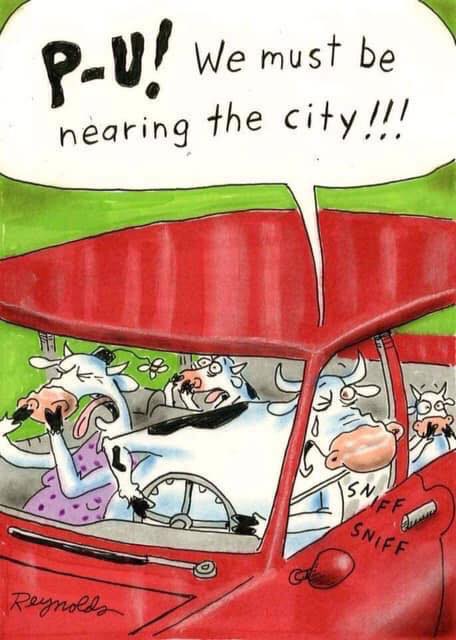P U I smell city.jpg