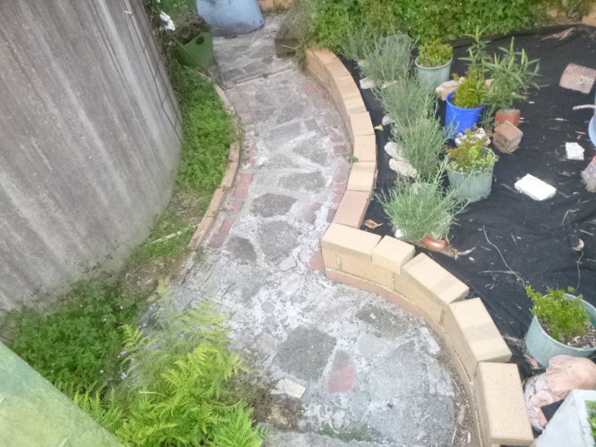 P1000143.JPG