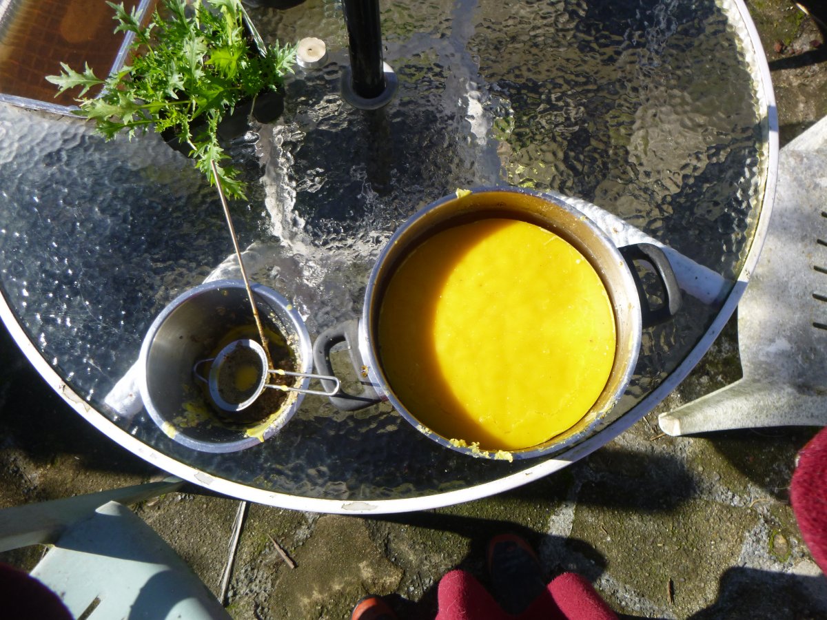 P1000410.JPG