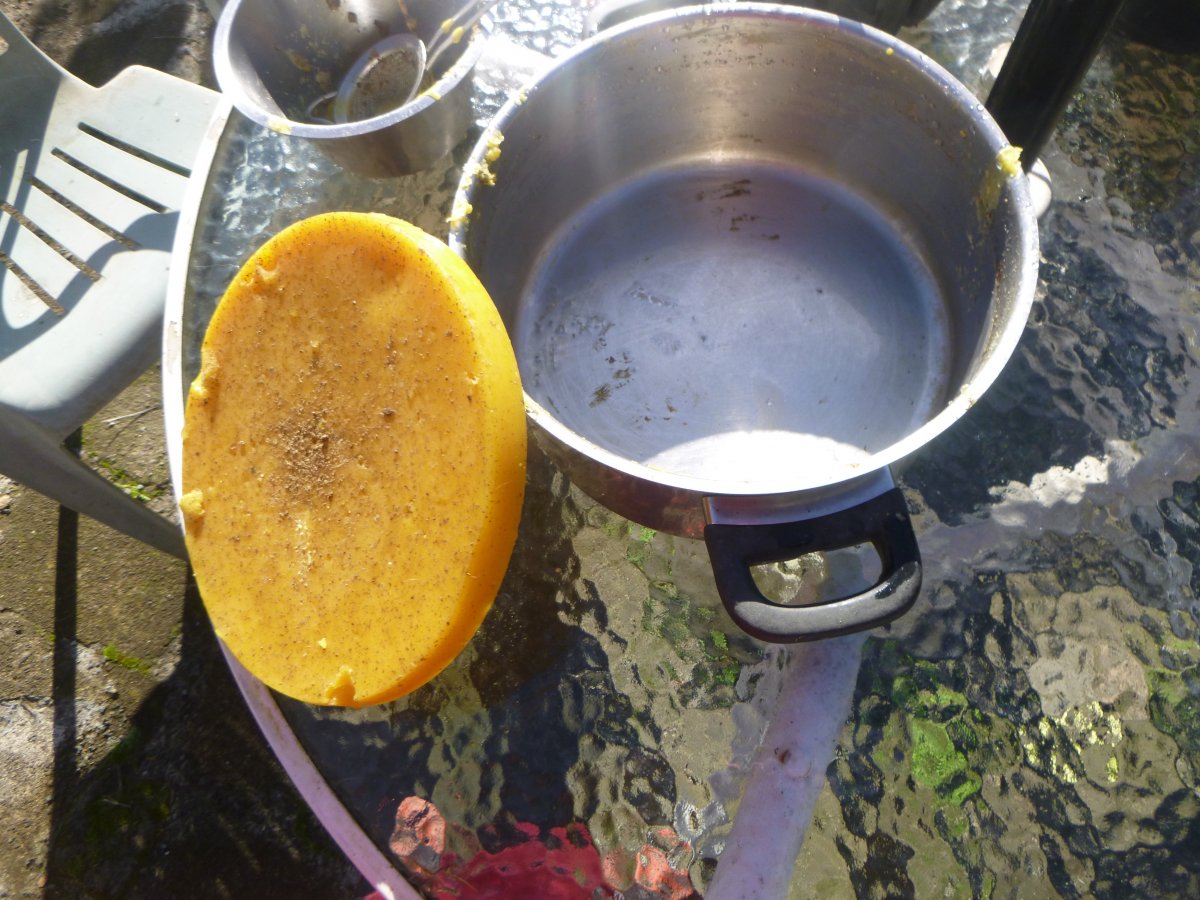 P1000412.JPG