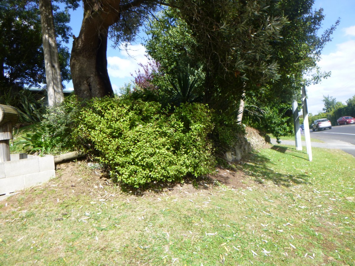 P1000511.JPG