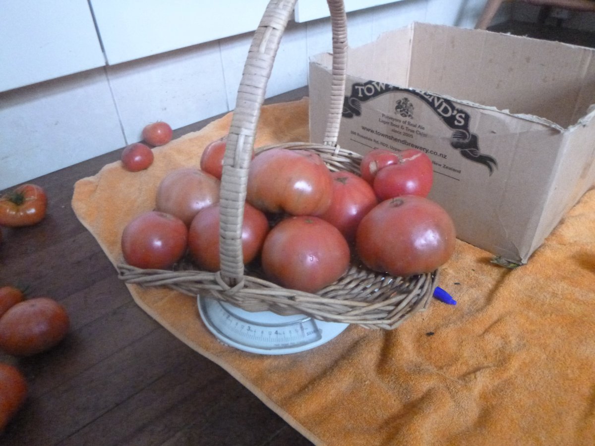 P1000528.JPG