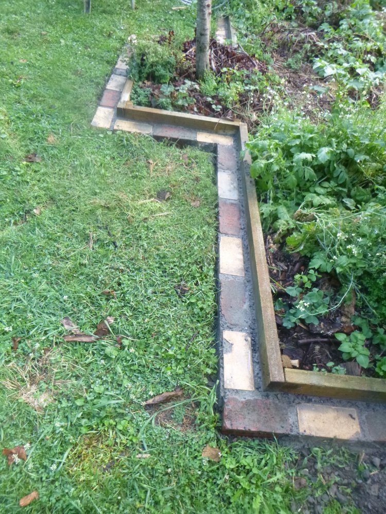 P1000543.JPG