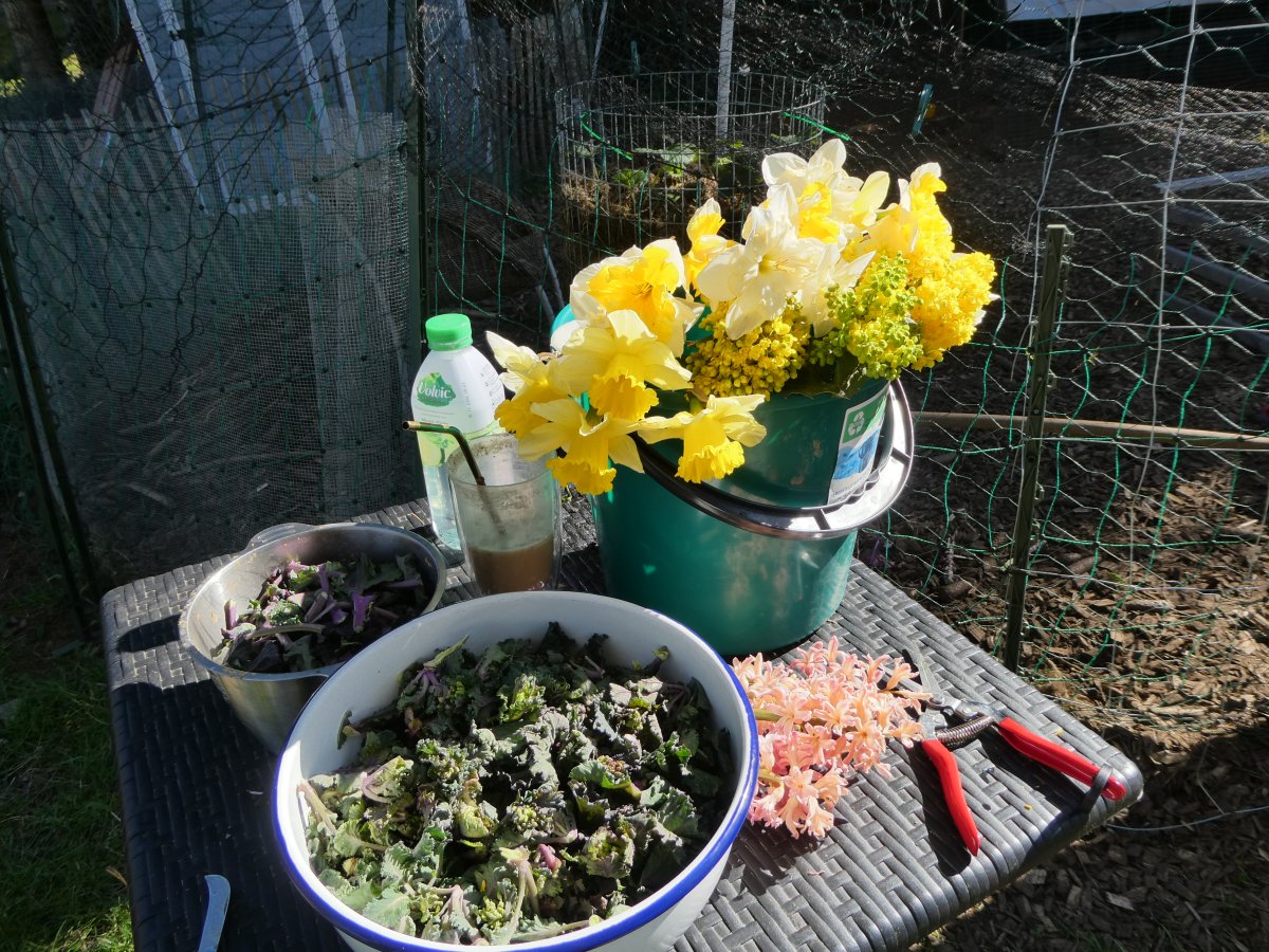 P1105198.jpg