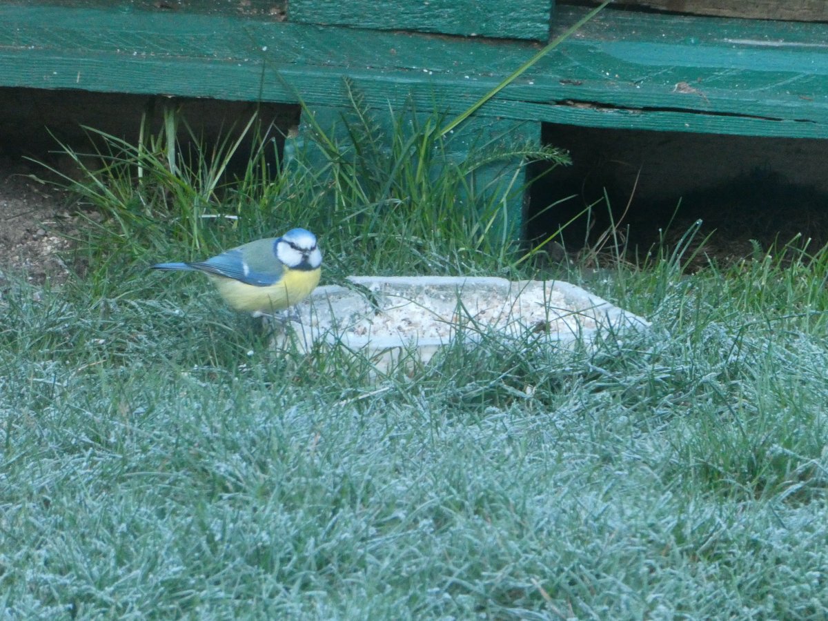 P1105251.JPG