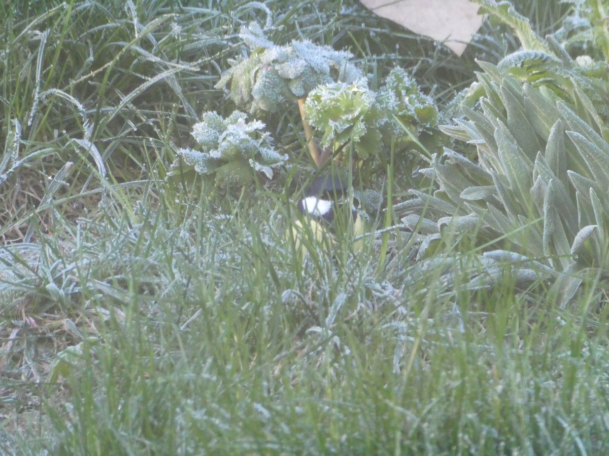 P1105258.JPG