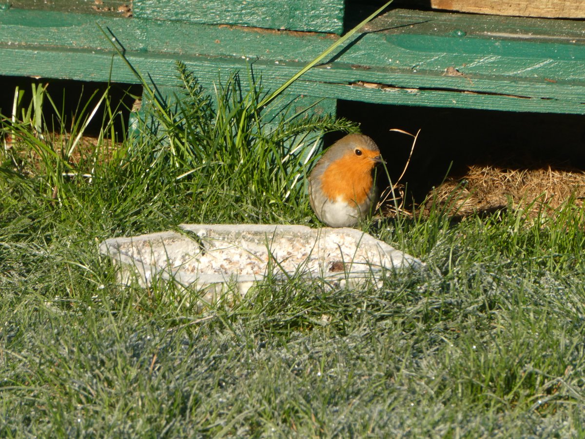 P1105261.JPG