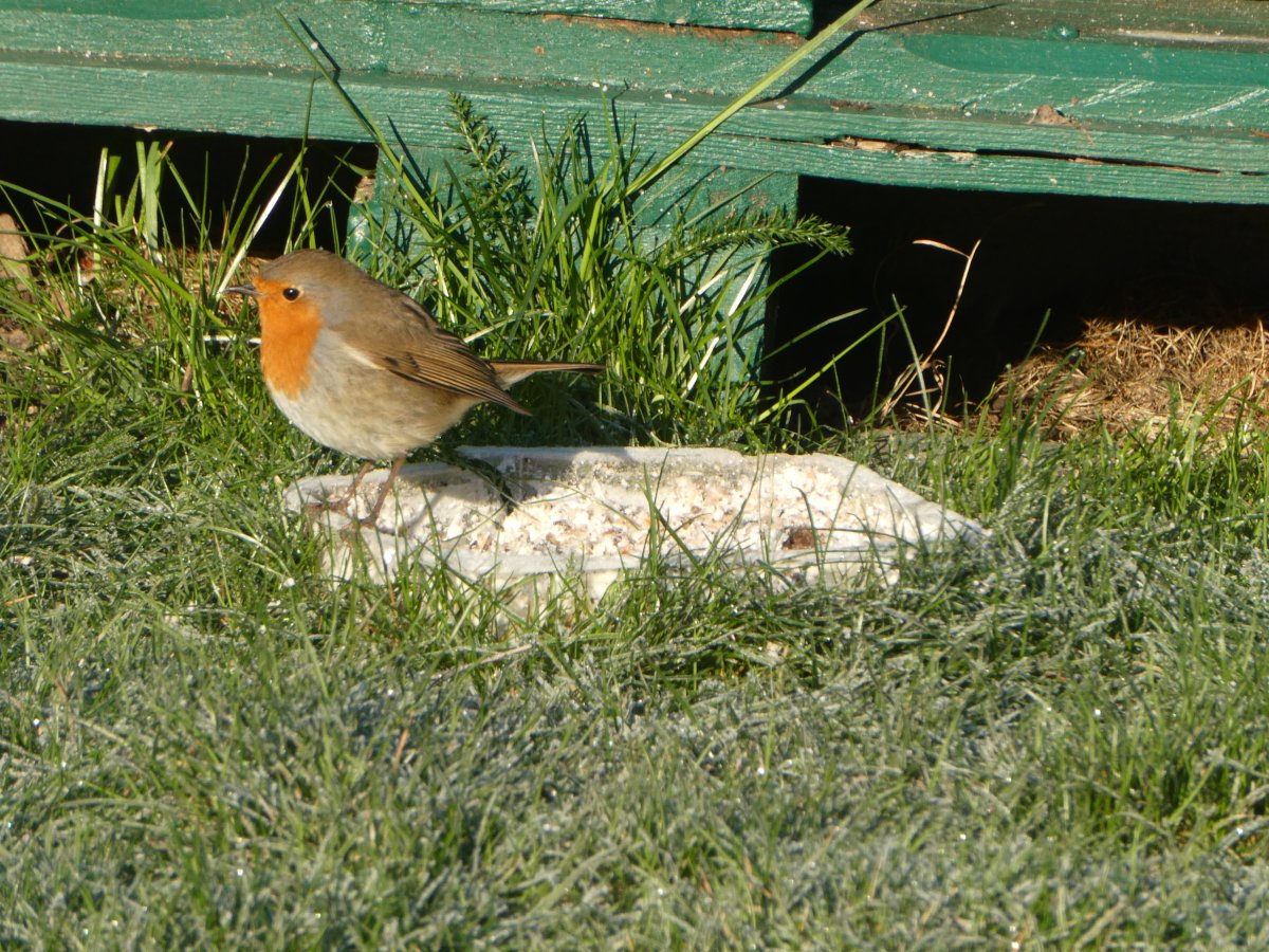 P1105262.JPG