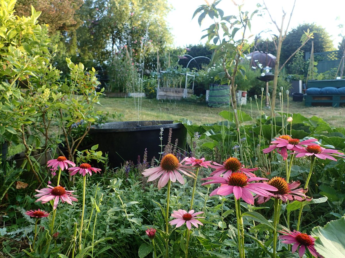 P7230389.JPG