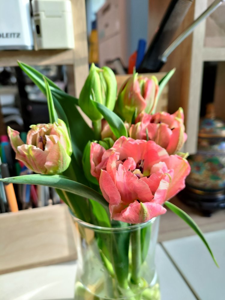 P_20230426_183125.jpg