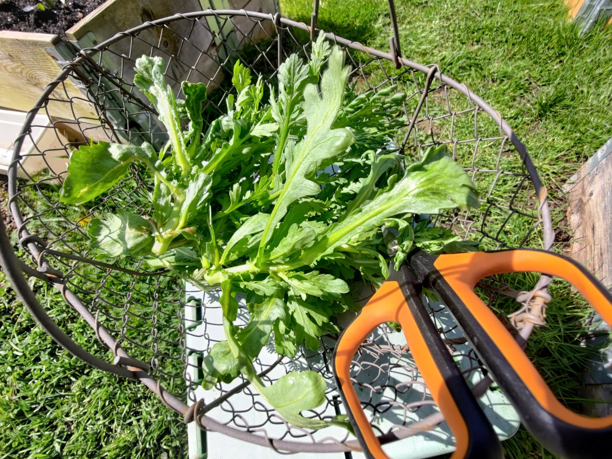 P_20230430_115834.jpg