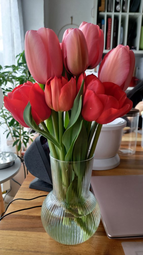 P_20240411_105305.jpg