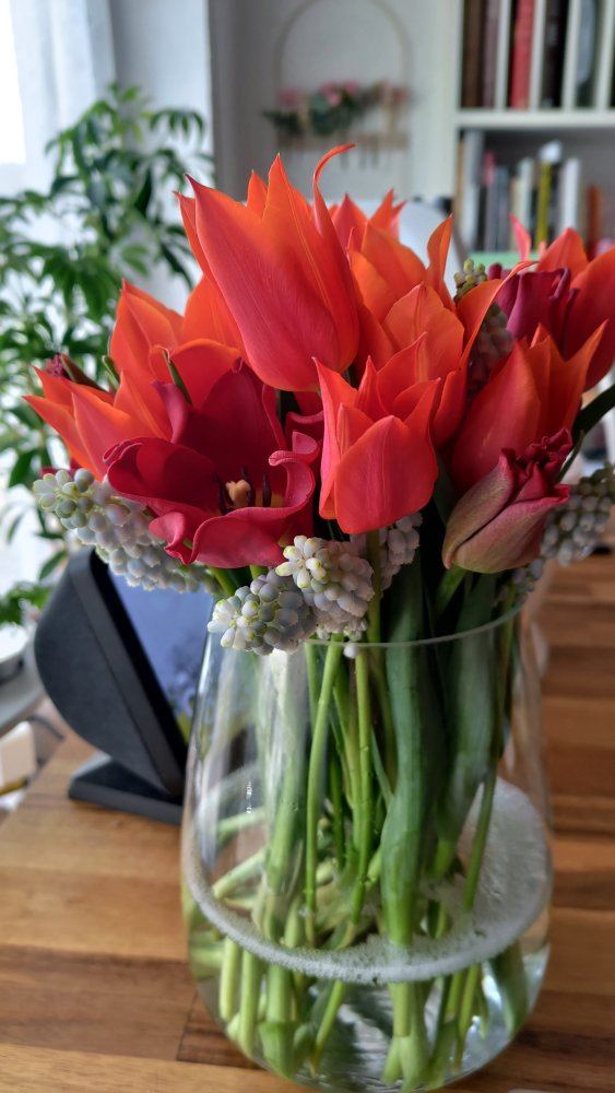 P_20240413_092824.jpg