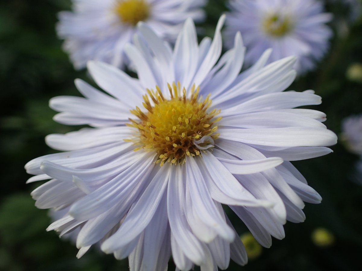 PA100620.JPG