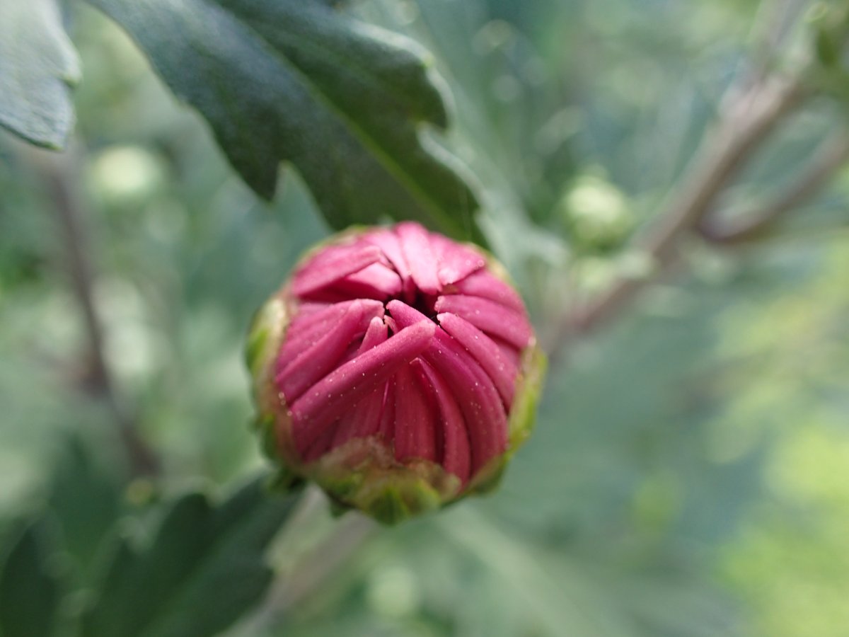 PA100630.JPG
