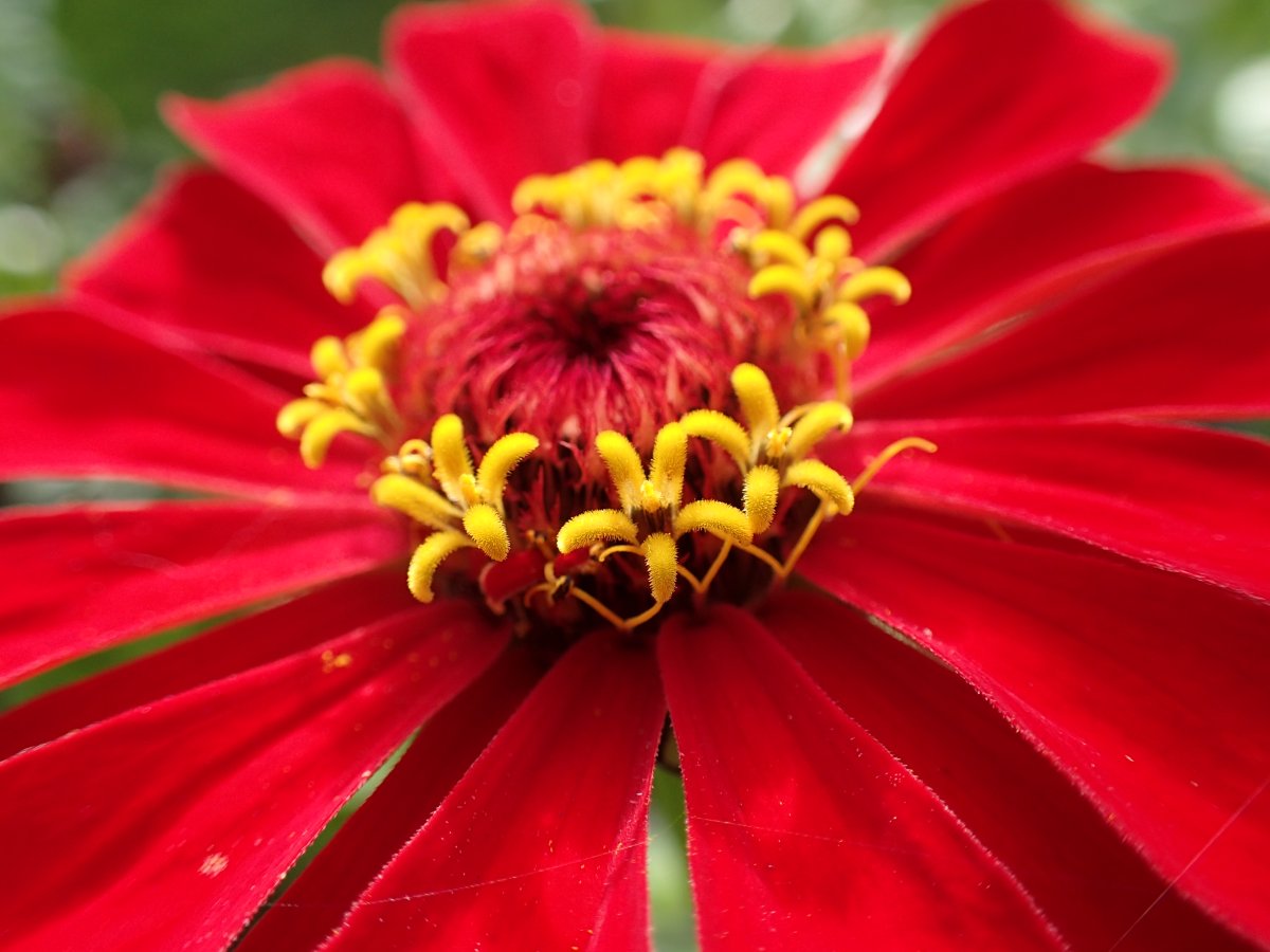 PA100634.JPG