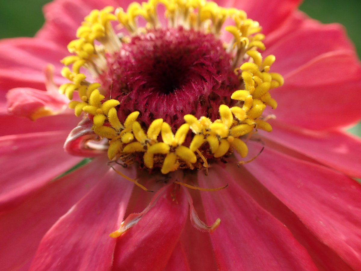 PA100635.JPG