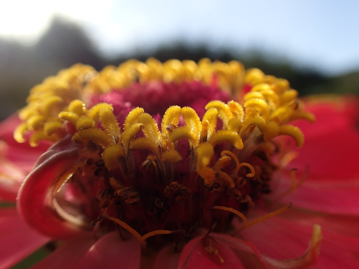 PA100636.JPG