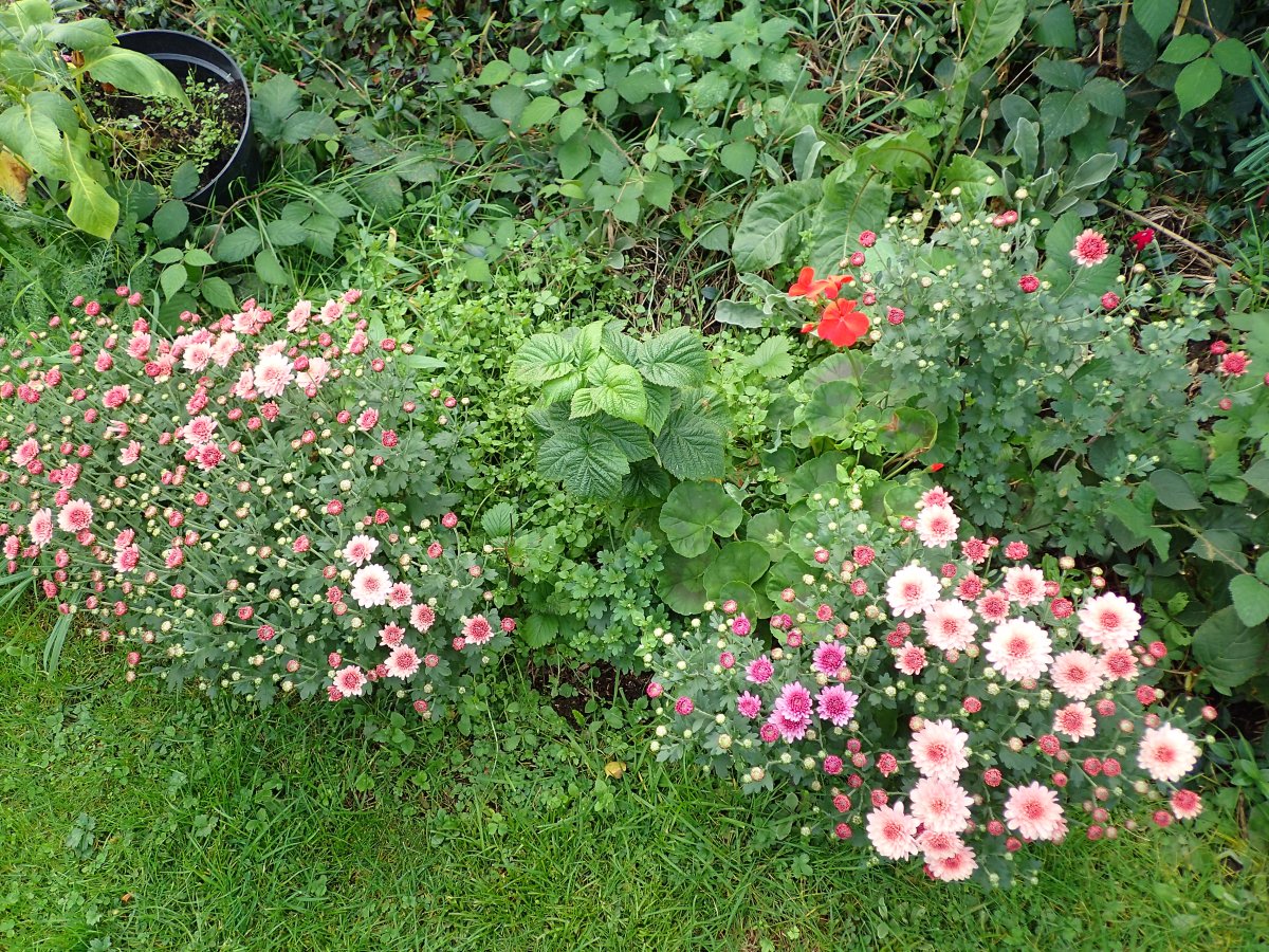 PA130662.JPG