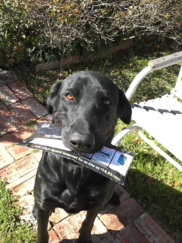 Parker mail.jpg