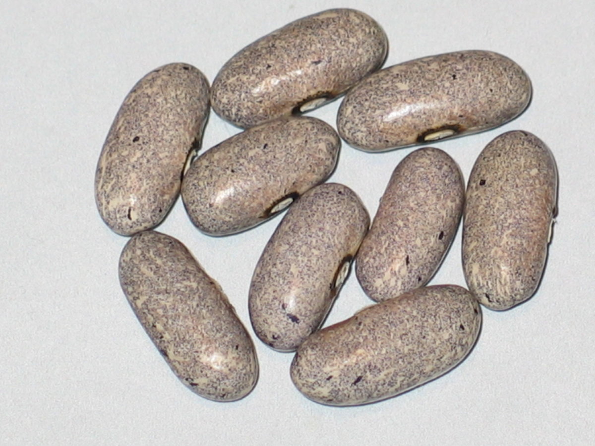 Pebblestone #1.jpg
