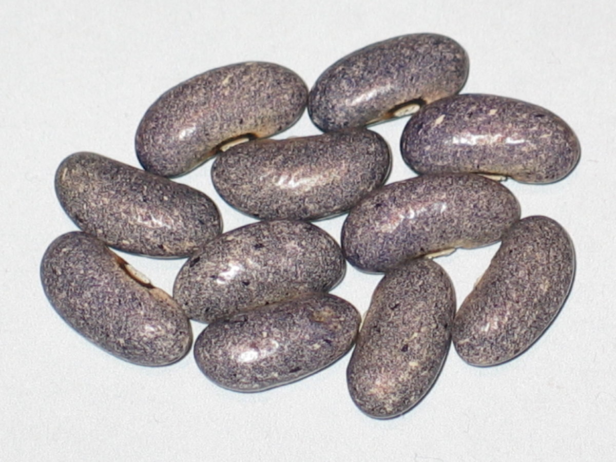 Pebblestone Dark #1.jpg