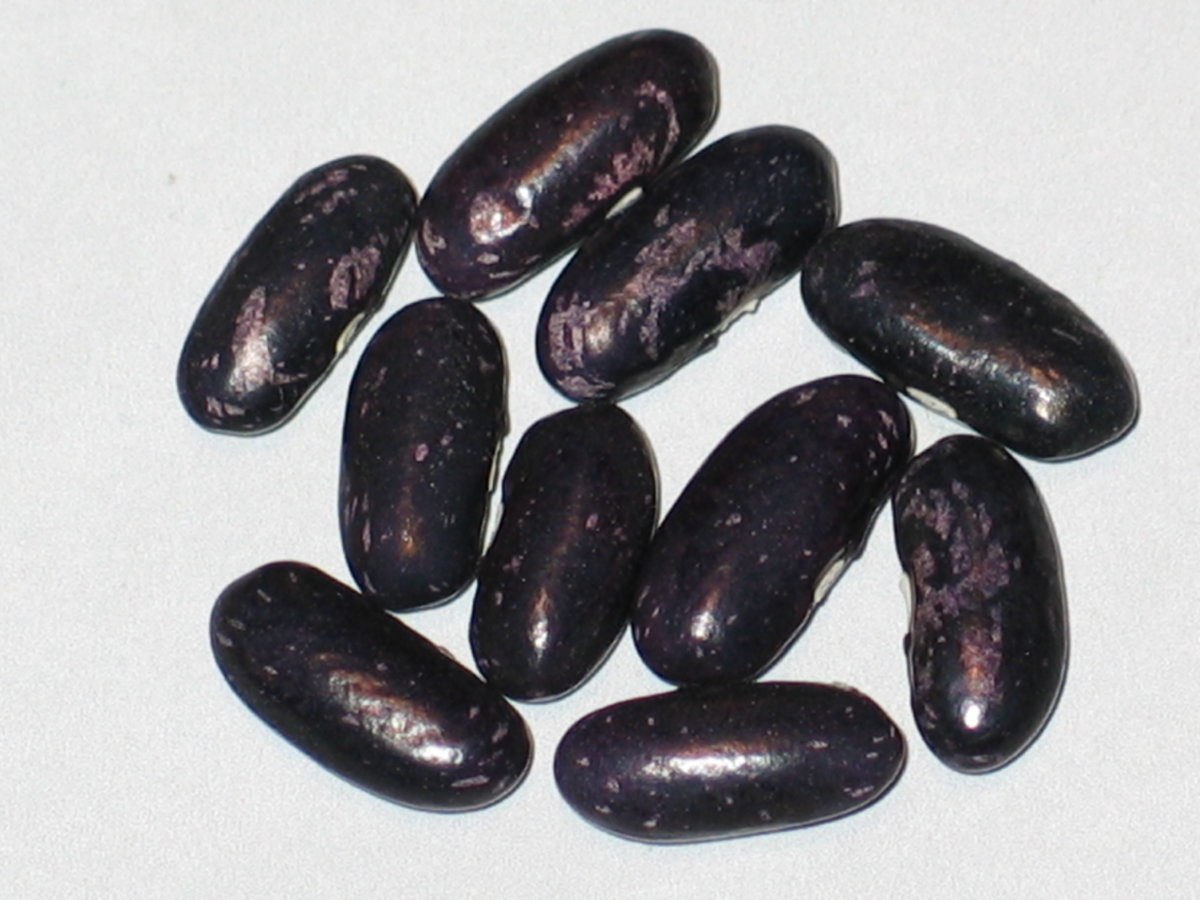 Pebblestone Darker #1.jpg