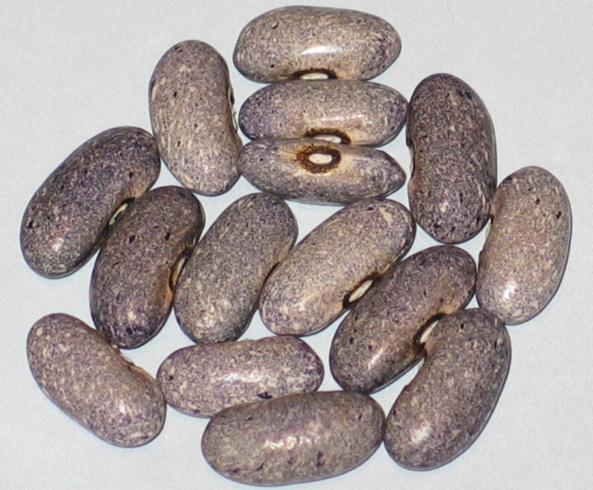 Pebblestone.jpg