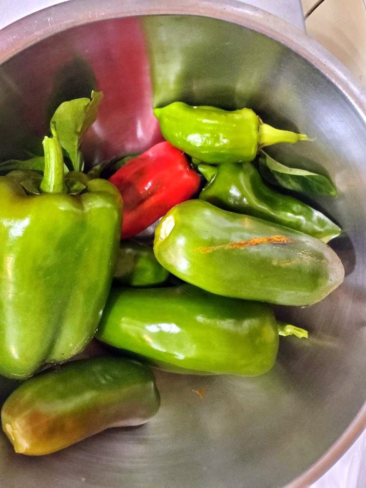peppers for Salsa party chili, 10-07-23.jpg