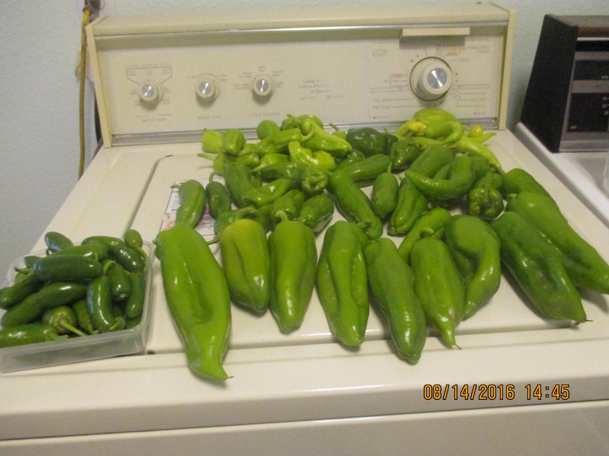 peppers.JPG