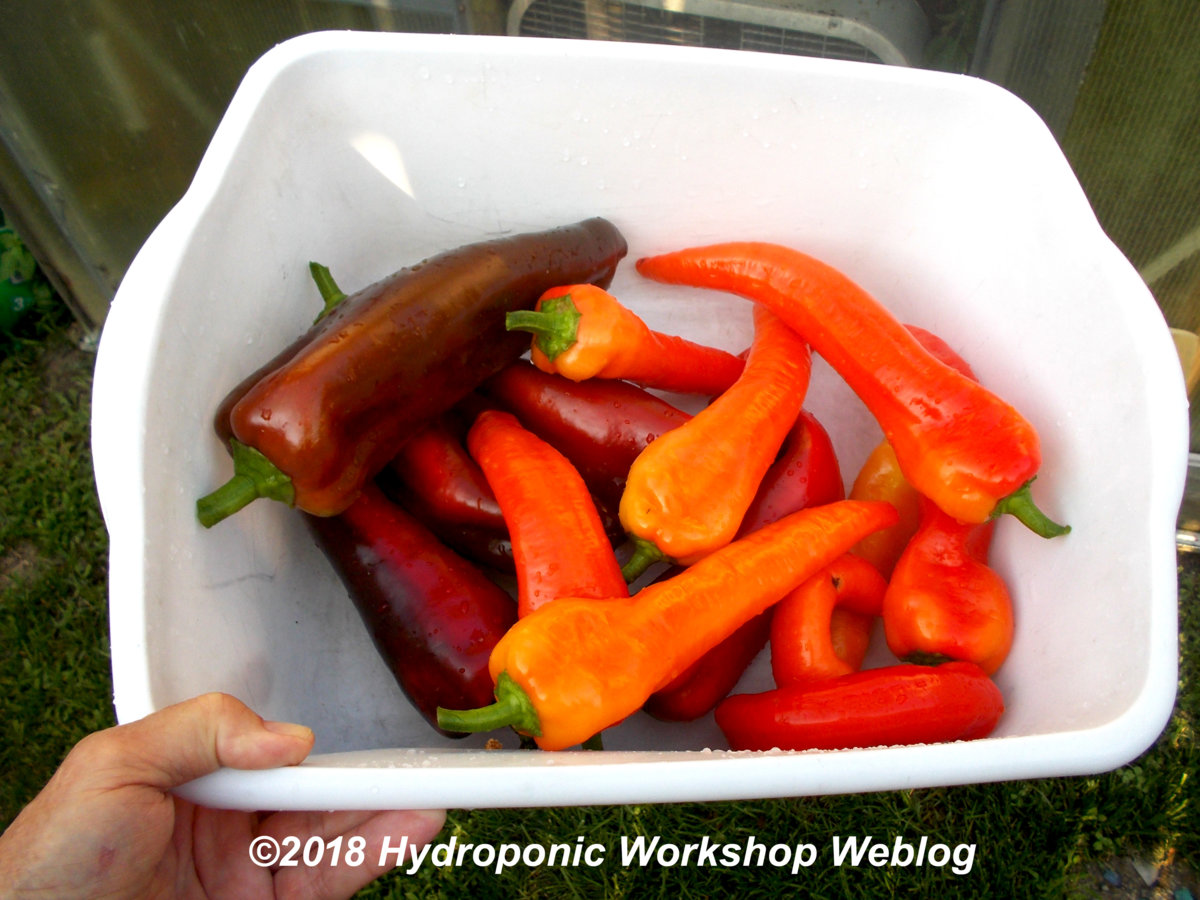 peppers.jpg