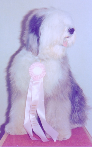 Peter with Ribbon edited.JPG