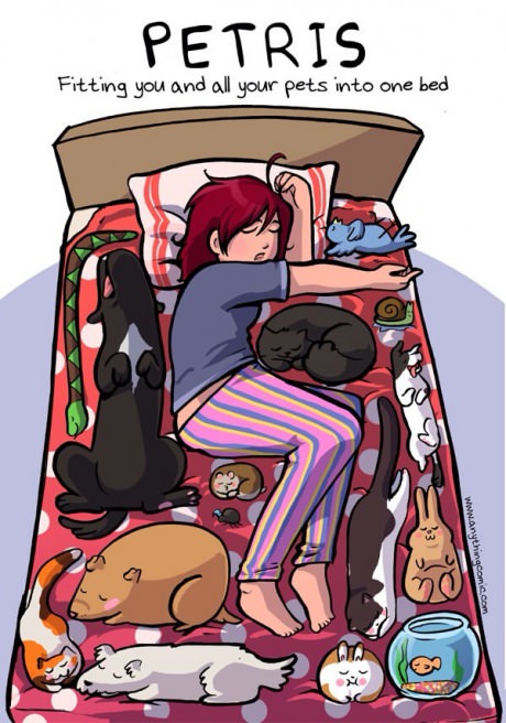 petris-comicscats-dogs.jpg