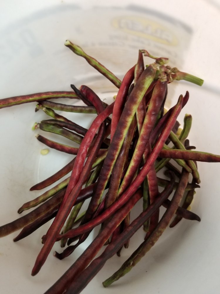 PH Peas.jpg