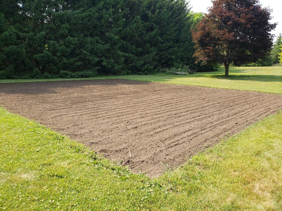 Pheasant Lane Bean Plot.jpg