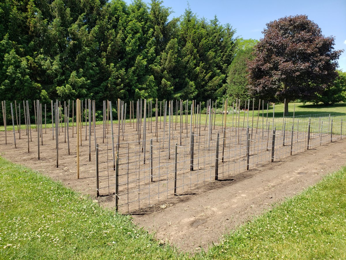 Pheasant Lane Planted June 1, 2021.jpg