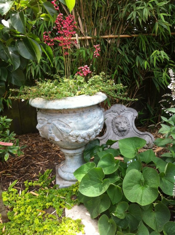 photo (10).JPG