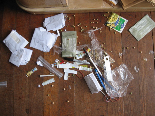 photo.JPG