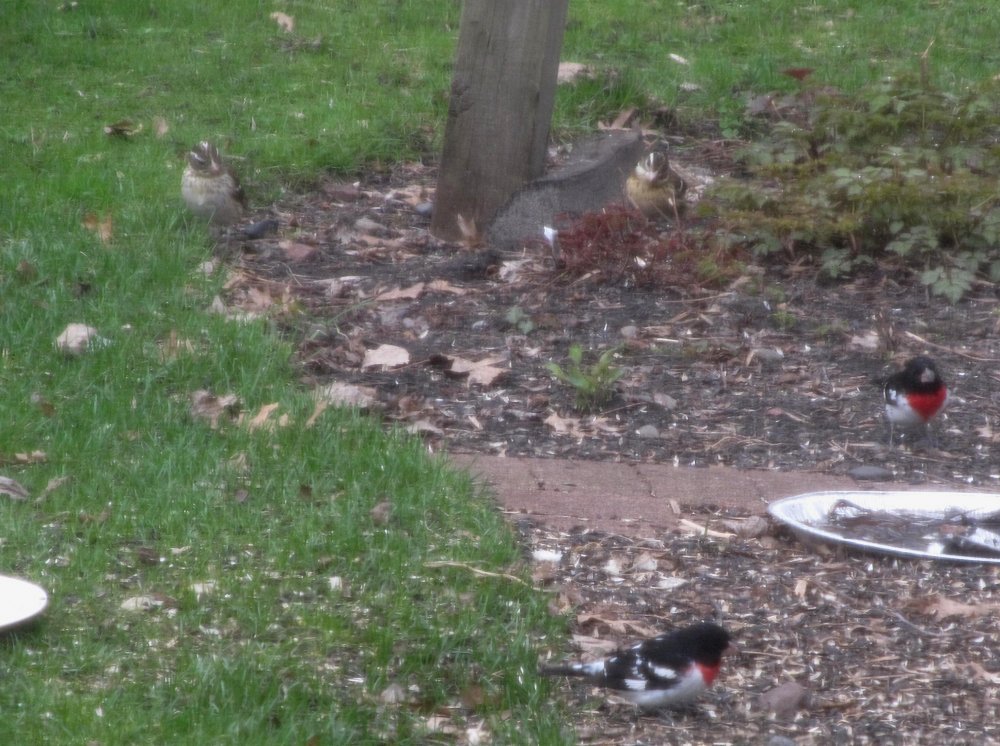 Picture 10498 1.jpg