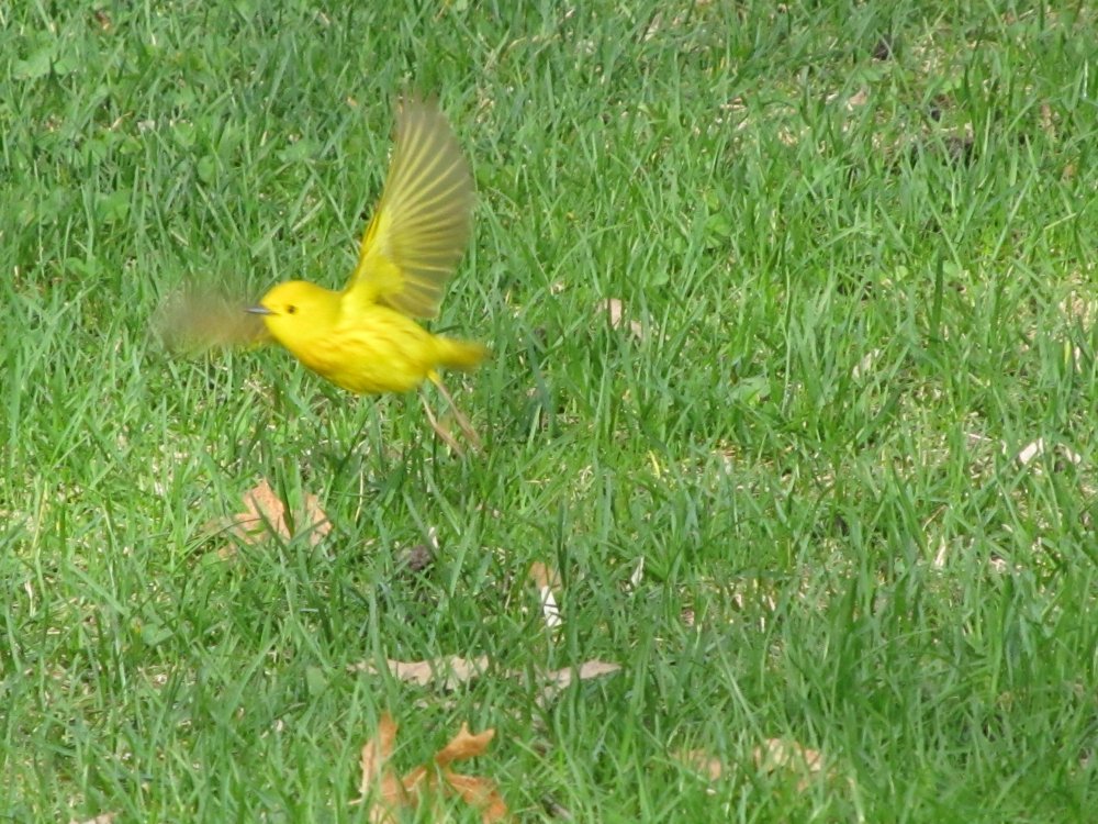 Picture 10522.jpg