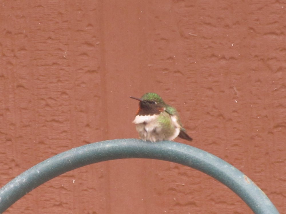 Picture 10718.jpg