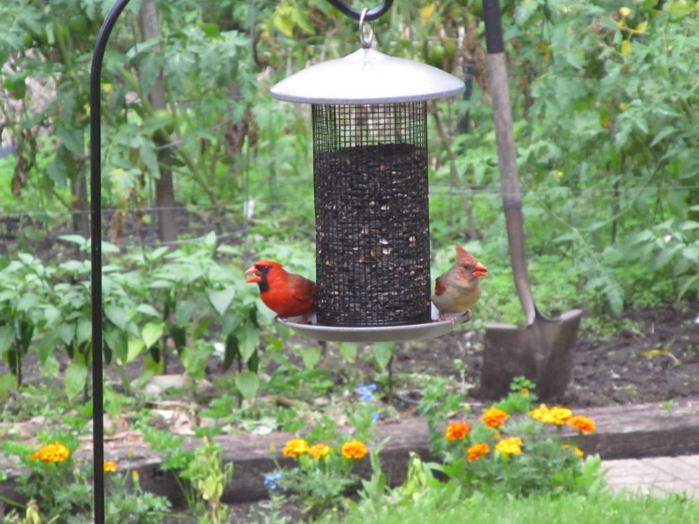 Picture 12032.jpg