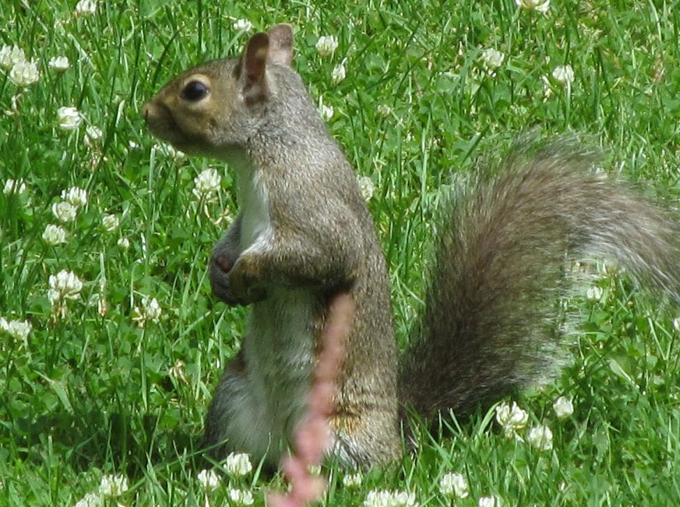 Picture 12162 1.jpg